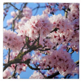 Roze kerry Blossom keramische tegel Tegeltje (Voorkant)
