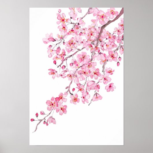 roze kerry blossom waterverf 2020 poster (Voorkant)
