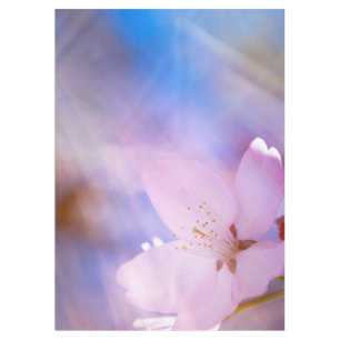 Roze kersbloesem tafelkleed