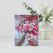 Roze kersbloesems briefkaart (Staand voorkant)