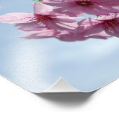 Roze kersbloesems en lichtblauwe hemel foto afdruk (Hoek)