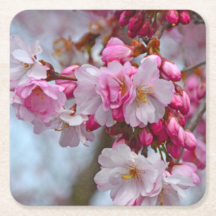 Roze kersbloesems kartonnen onderzetters