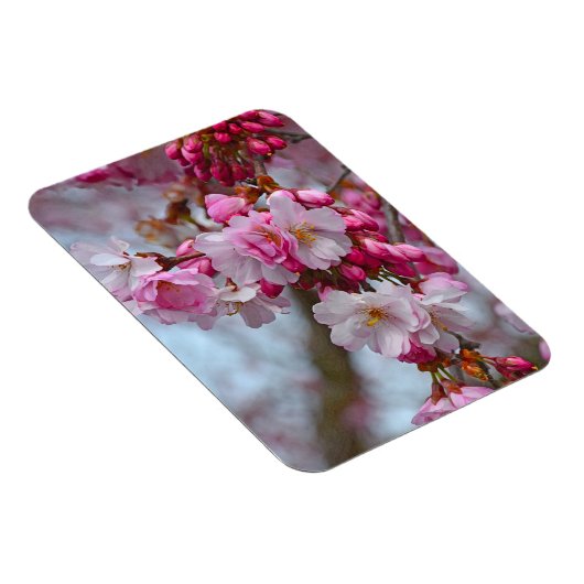 Roze kersbloesems magneet (Rechterzijde)