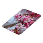 Roze kersbloesems magneet (Linkerzijde)