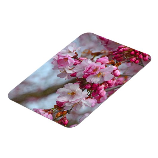 Roze kersbloesems magneet (Linkerzijde)