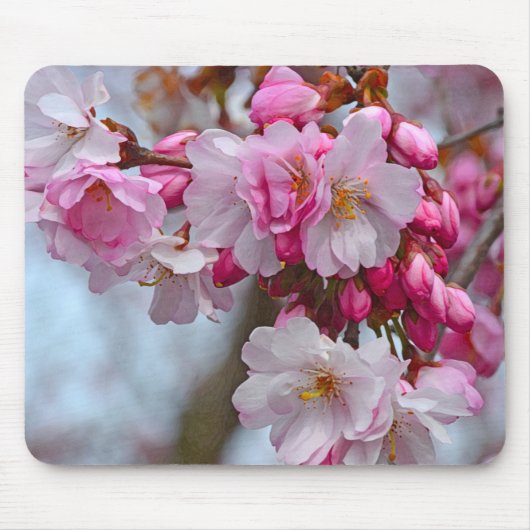 Roze kersbloesems muismat (Voorkant)
