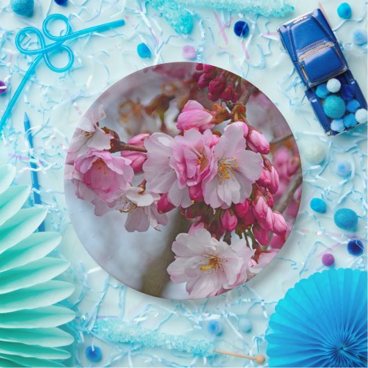 Roze kersbloesems papieren bordje (Feest)