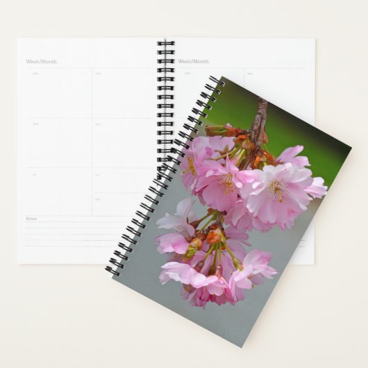 Roze kersbloesems planner (Display)