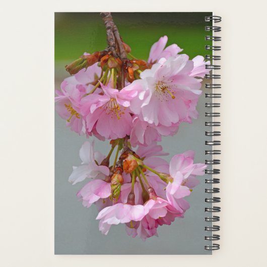 Roze kersbloesems planner (Achterkant)