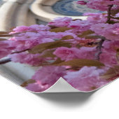 Roze kersbloesems poster (Hoek)