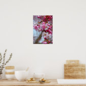 Roze kersbloesems poster (Keuken)