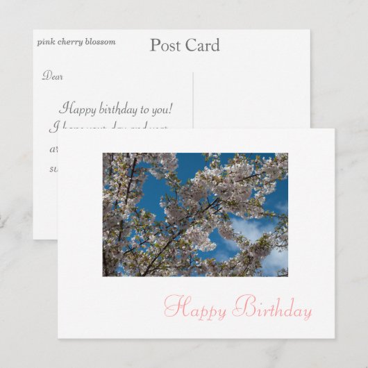 roze kersen bloesbloem briefkaart (Voorkant / Achterkant)