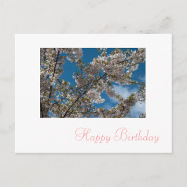 roze kersen bloesbloem briefkaart