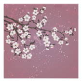 Roze kersen bloesem poster (Voorkant)