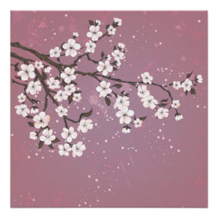 Roze kersen bloesem poster