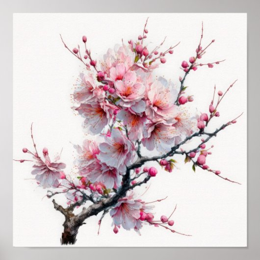Roze Kersenbloesem Bloem Kunstprint Poster (Voorkant)