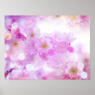 Roze Kersenbloesem Bloemen Foto Poster