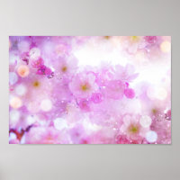 Roze Kersenbloesem Bloemen Foto