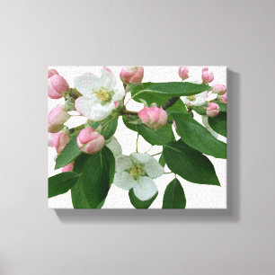 Roze kersenbloesem bloemenboho digitaal mooi canvas afdruk