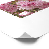 Roze Kersenbloesem Bloemstuk Poster (Hoek)