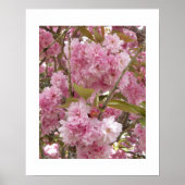 Roze Kersenbloesem Bloemstuk Poster (Voorkant)