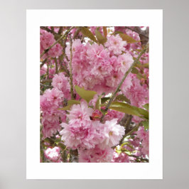 Roze Kersenbloesem Bloemstuk Poster