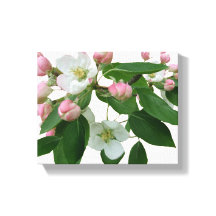  roze kersenbloesem bloesem mooi modern