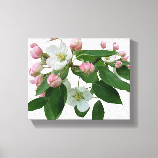 roze kersenbloesem bloesem mooi modern canvas afdruk (Voorkant)