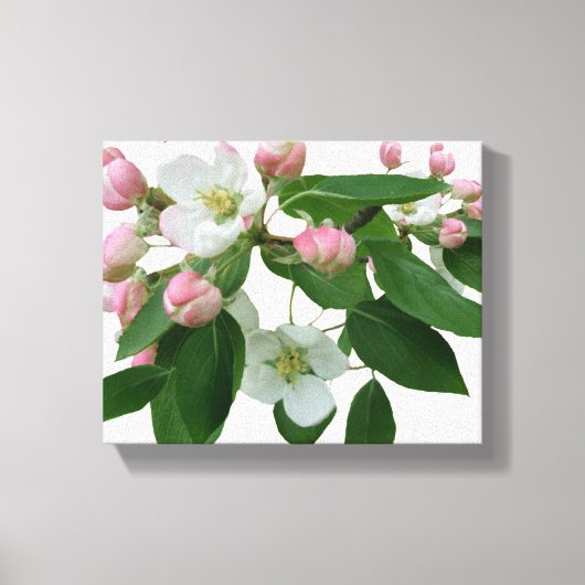 roze kersenbloesem bloesem mooi modern canvas afdruk (Voorkant)