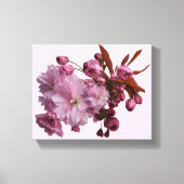 roze kersenbloesem eenvoudige mooie bloemen canvas afdruk (Voorkant)