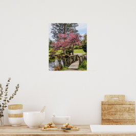 Roze Kersenbloesem en Houten Bruggetje Poster