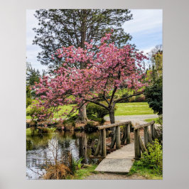 Roze Kersenbloesem en Houten Bruggetje Poster