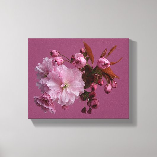  roze kersenbloesem mooie moderne bloemen canvas afdruk (Voorkant)