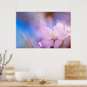 Roze kersenbloesem poster (Keuken)