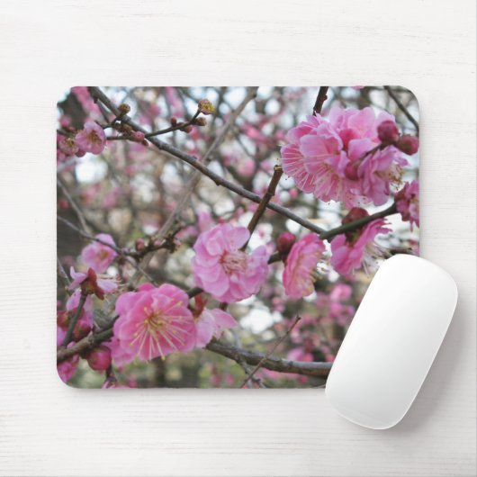 Roze Kersenbloesem / Sakura / サクラ（桜） Muismat (Met muis)