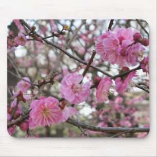 Roze Kersenbloesem / Sakura / サクラ(桜) Muismat