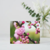 Roze kersenbloesemknoppen briefkaart (Staand voorkant)