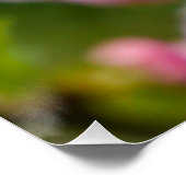 Roze kersenbloesemknoppen perfect poster (Hoek)