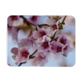 Roze Kersenbloesemmagneet Magneet (Horizontaal)