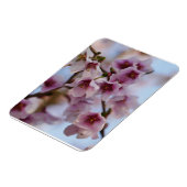 Roze Kersenbloesemmagneet Magneet (Linkerzijde)