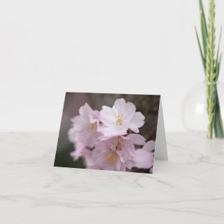 Roze Kersenbloesems Bedankkaart