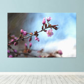 Roze kersenbloesems, blauwe lucht, witte wolk canvas afdruk (Insitu (Houten vloer))