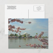 Roze kersenbloesems en het Jefferson Memorial Briefkaart (Voorkant / Achterkant)