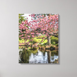Roze Kersenbloesems en Vijver Fotografisch Canvas Afdruk