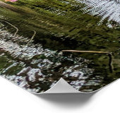 Roze Kersenbloesems en Vijver Fotografisch Poster (Hoek)