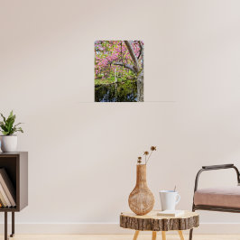 Roze Kersenbloesems Langs Vijver Poster