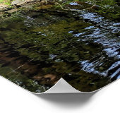 Roze Kersenbloesems Langs Vijver Poster (Hoek)