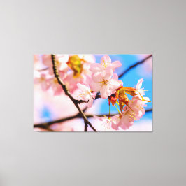 Roze Kersenbloesems Op Een Warme Lentedag Canvas Afdruk