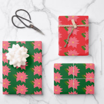 Roze Kerst Poinsettia