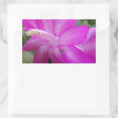 Roze kerstcactus bloom rechthoekige sticker (Tas)